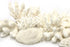 peekablue white coral sampler